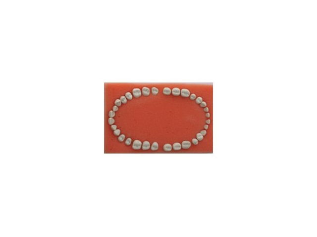 Replacement Teeth Set – Labomed Europe b.v., Practice Furniture