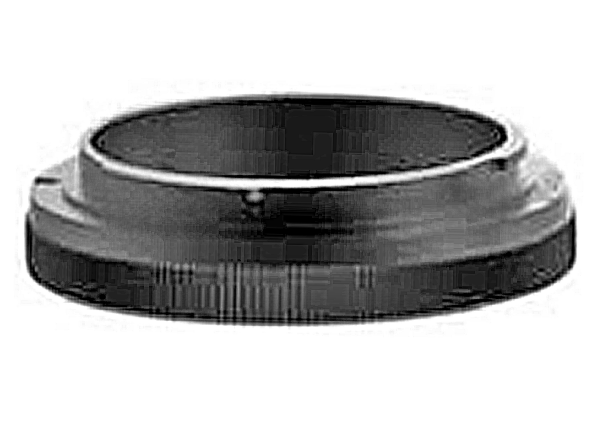 Bayonet Mount Nikon