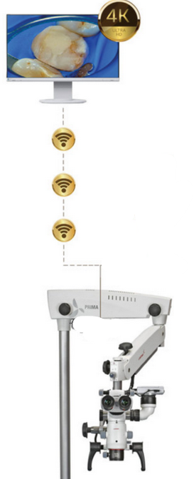 Upgrade documentation kit to Wireless – Labomed Europe b.v.