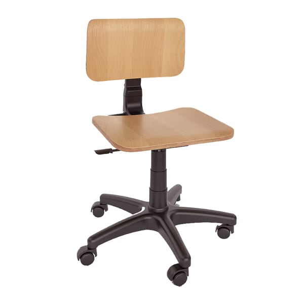 MS COMFORT