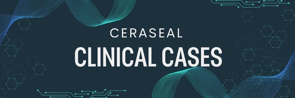 CeraSeal