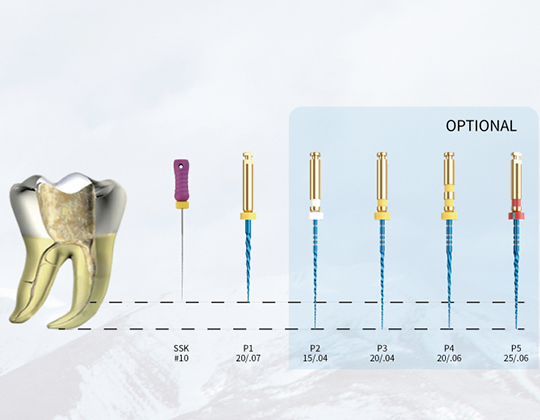Endo Motor Files & Root Canal Rotary Files - EZ Series