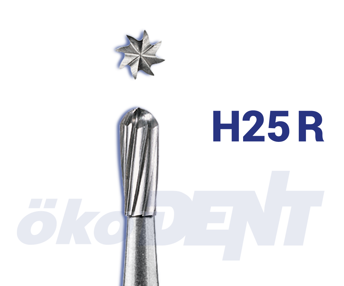 Hartmetallbohrer 25R / Tungsten Carbide Bur 25R