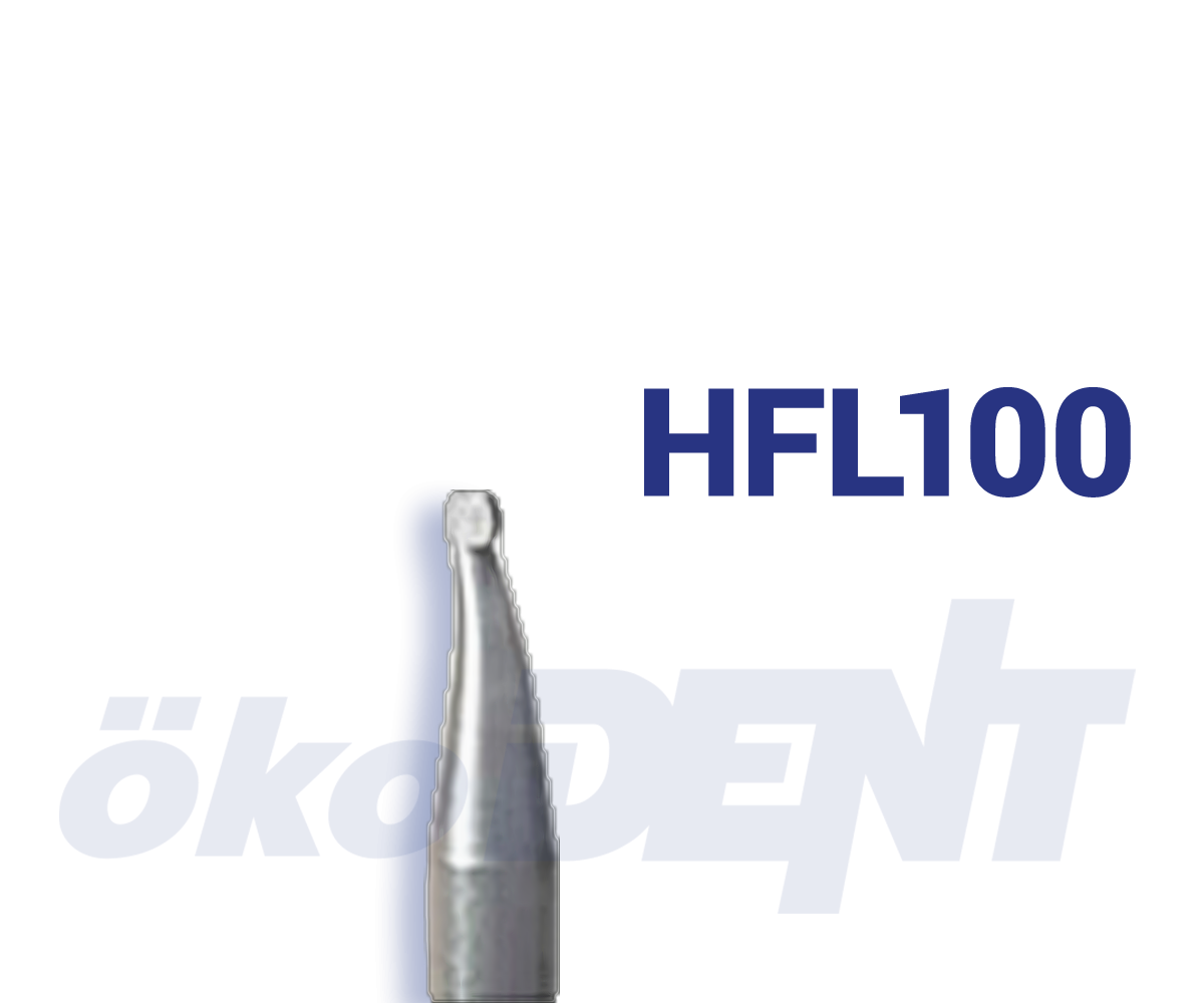 HFL100 Schlagbohrer / Percussion Drill