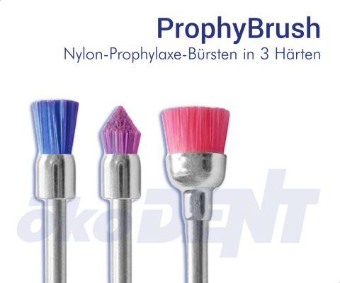 Prophy Brush - in 3 Härten