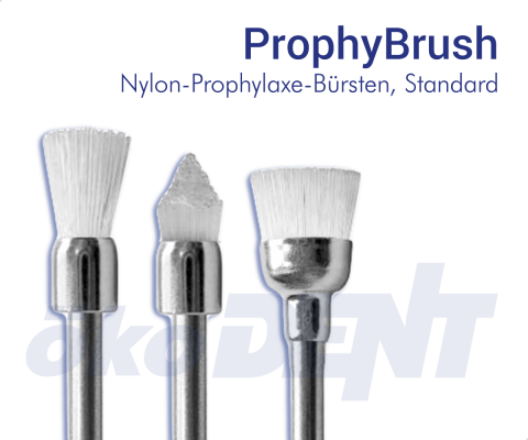 Prophy Brush Standard