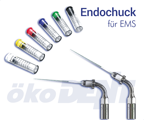 Endochuck & Sortiment (EMS kompatibel)