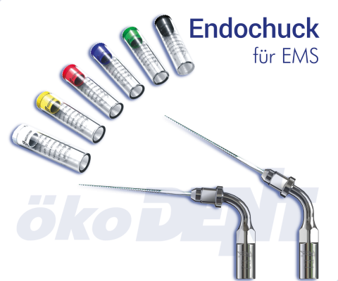 Endochuck & Sortiment (EMS kompatibel)