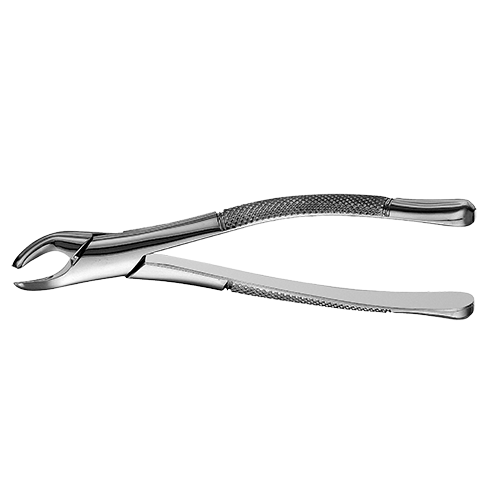 Apical Forceps