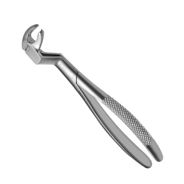 Forceps d'extraction 22 1/2D, modèle anglais