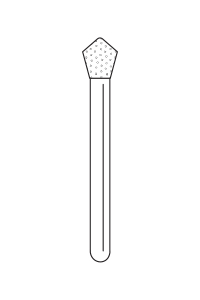 905028 – Acorn