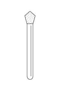 905028 – Acorn