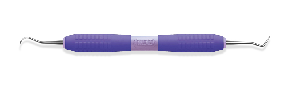 NV1 Anterior
