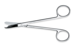 Littauer 5 ½"
