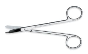 Littauer 5 ½"