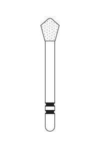 2 Skooter™ – Acorn