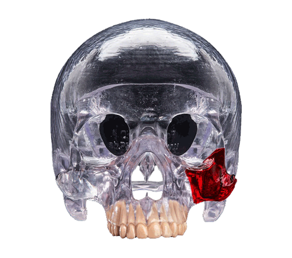 PLASTCure Clear 200