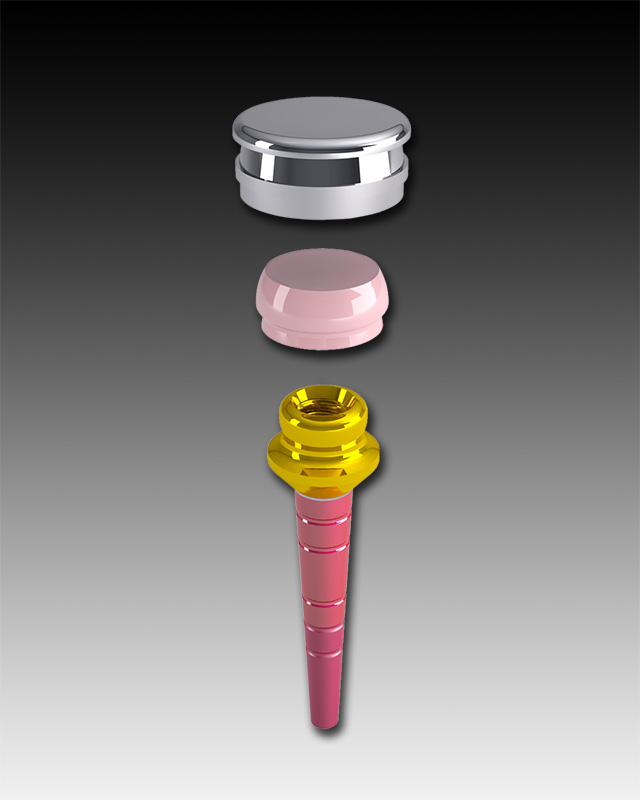 OT Equator Direct Root Overdenture