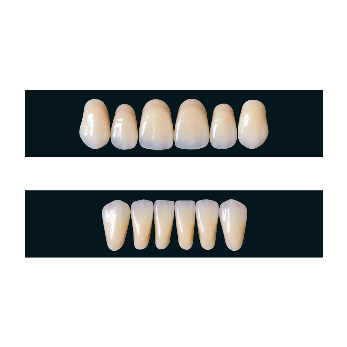 Veracia – Shofu Dental, Prothesenkunststoffe