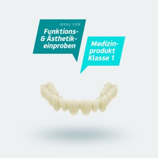 NYTE3D 3IN1 TRY·IN 3D-Druck-Resin | 1 kg | Cream