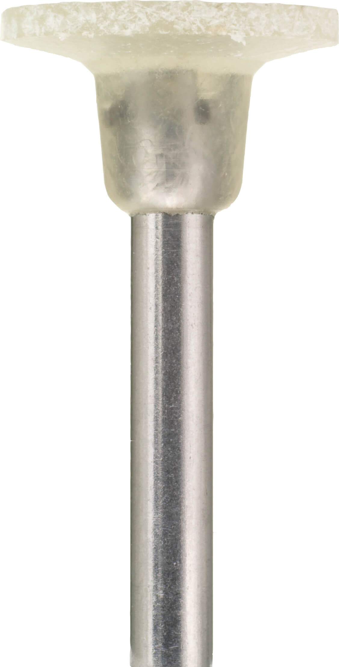 Polierer (flach / Linse) – TeleDenta GmbH, Polishing Points & Cups