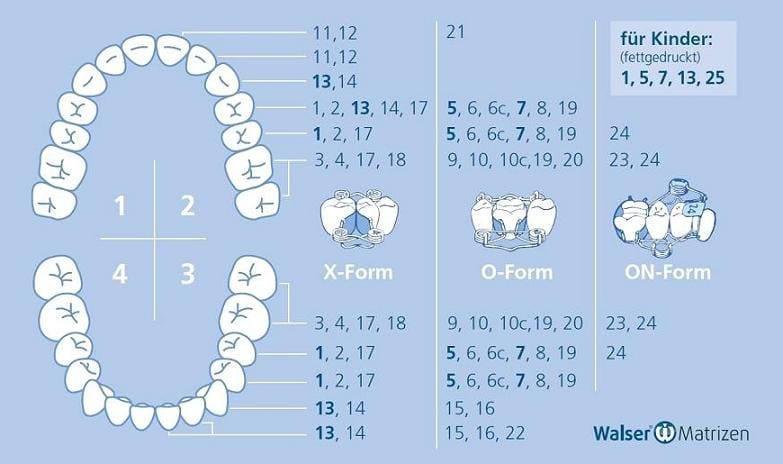 Walser Zahn-Matrizen: Teilmatrizensystem Sets – Dr. Walser Dental, Matrices