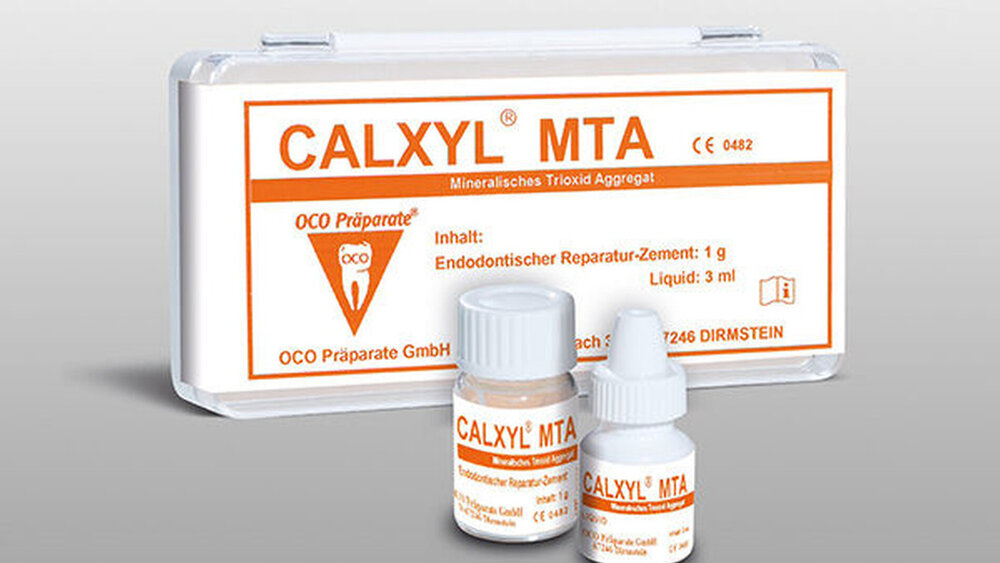 Endodontischer Reparaturzement CALXYL MTA