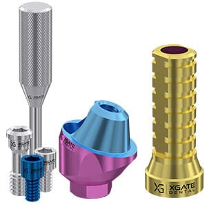 Set 17° angled multi unit abutment D-type with temporary sleeve