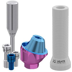 Set 17° angled multi unit abutment D-type with castable sleeve