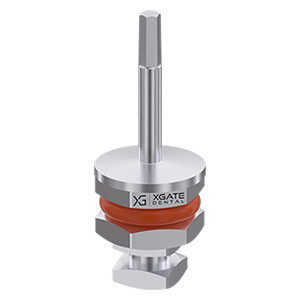 Ratchet screw driver for abutments – XGATE DENTAL, Implant Components & Abutments