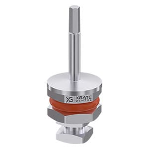 Ratchet screw driver for abutments