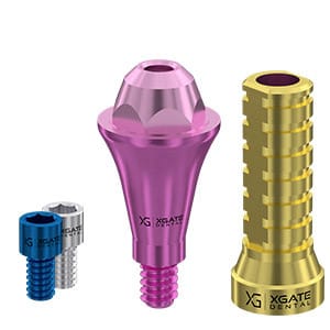 Set straight multi unit abutment D-type Conical Mini with temporary sleeve