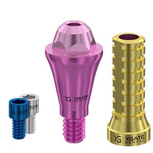 Set straight multi unit abutment D-type Conical Regular with temporary sleeve