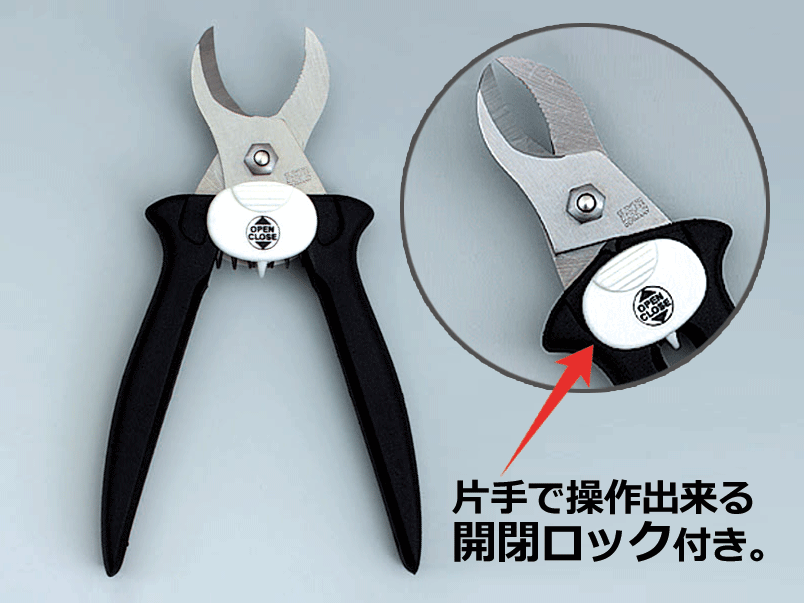 プロデスター