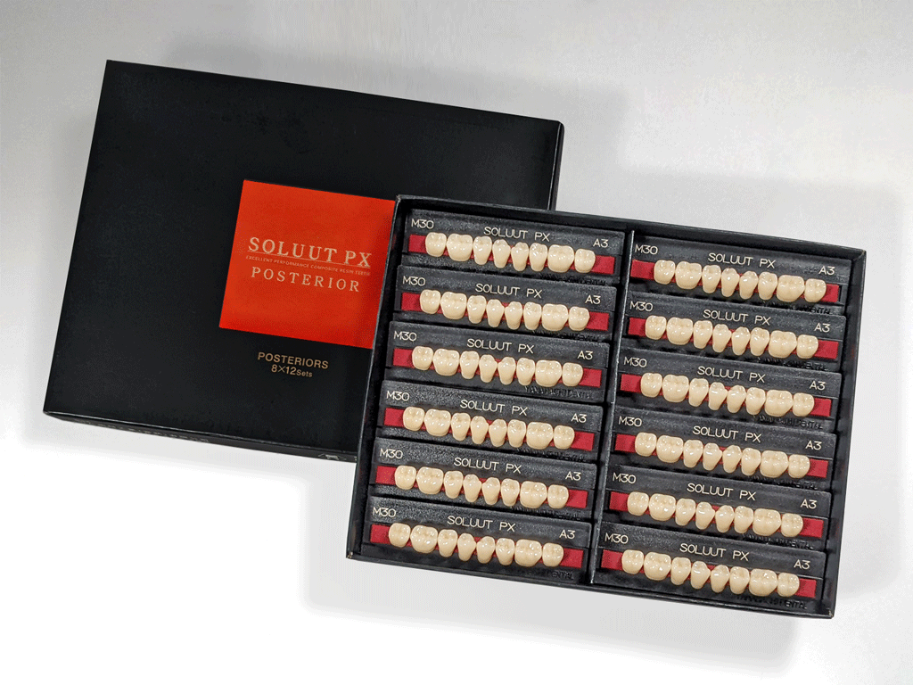 ソリュートPX ポステリオ – Yamahachi Dental MFG., CO., Artificial Teeth and Accessories