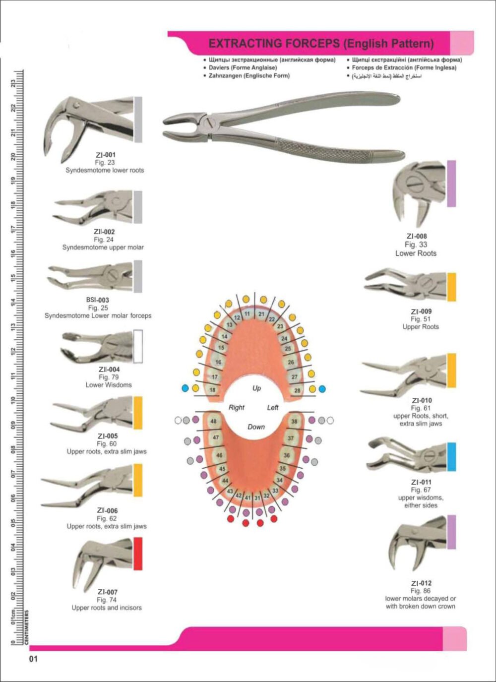 Extracting Forceps