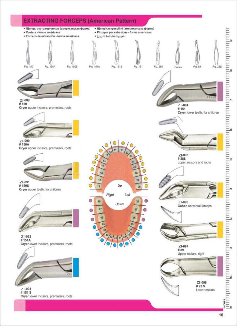 Extracting Forceps