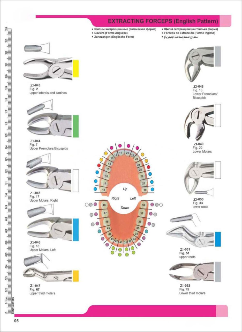 Extracting Forceps