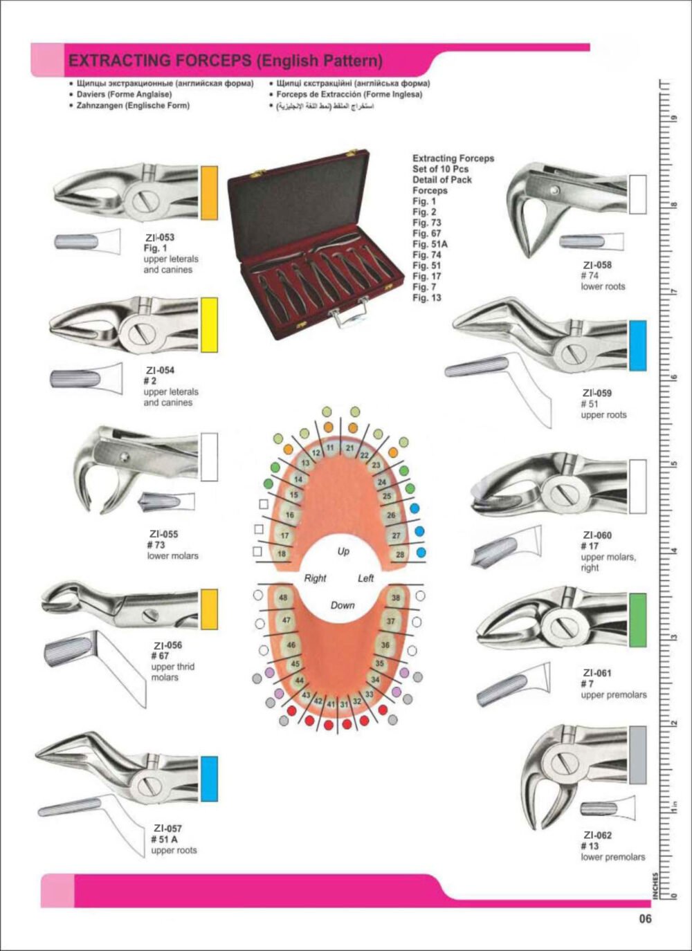 Extracting Forceps