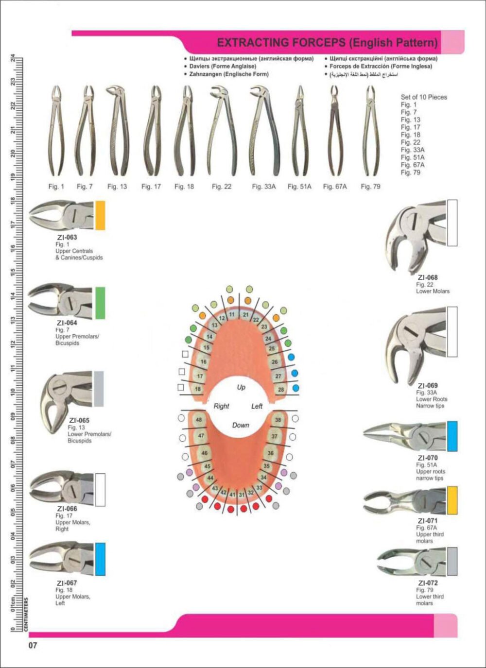 Extracting Forceps