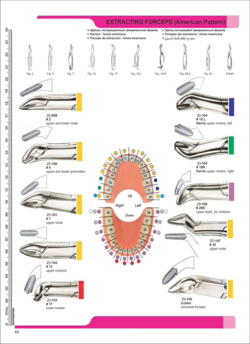 Extracting Forceps